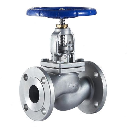 Globe Valve